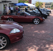 row of Jaguars
